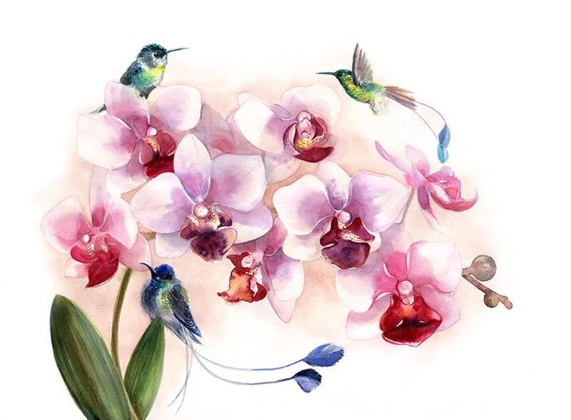 Акварельные цветы орхидеи