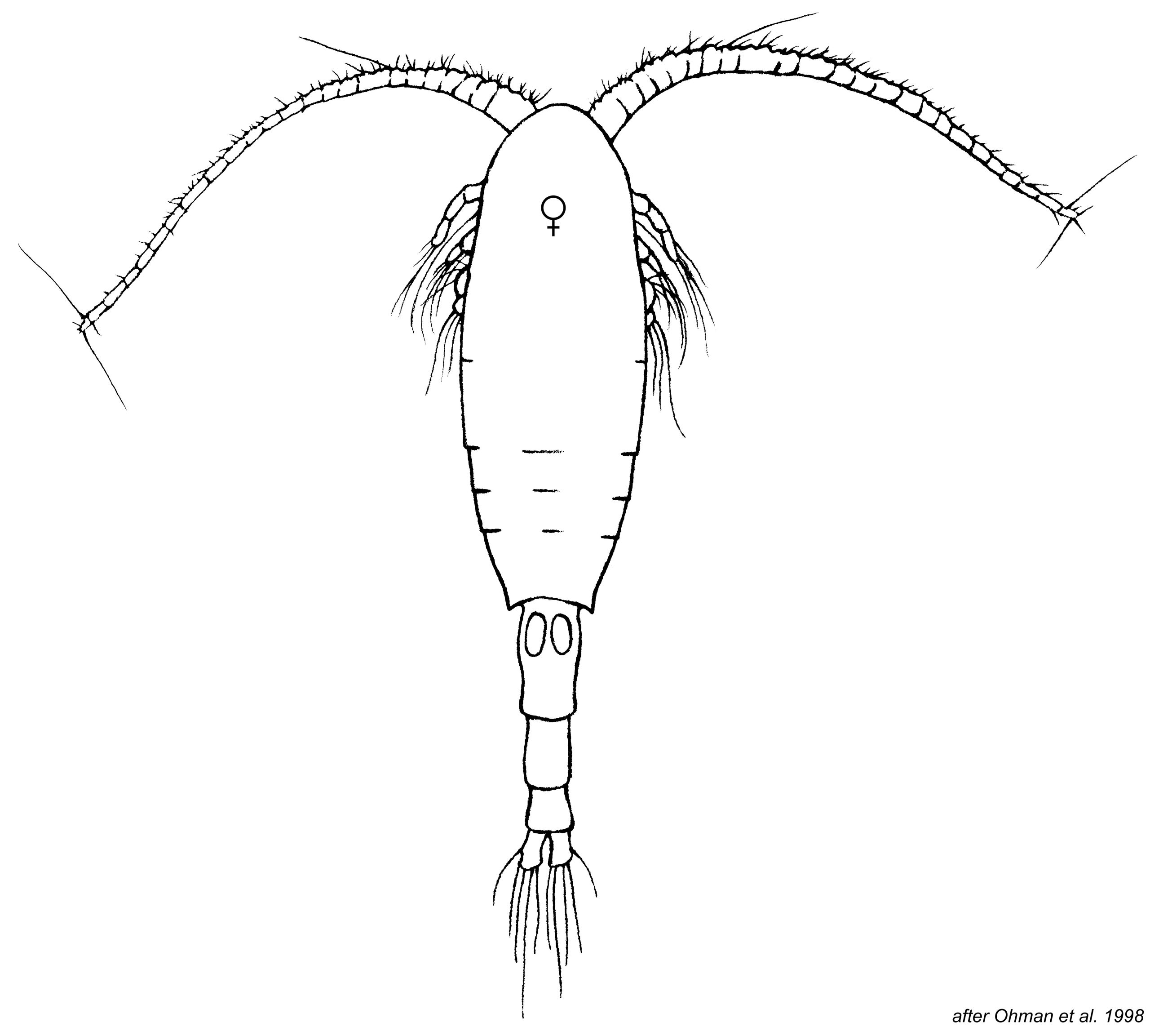 Планктон из Спанч Боба человек