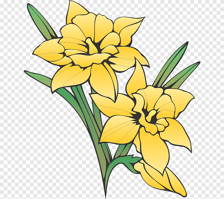 Daffodil символ Уэльса