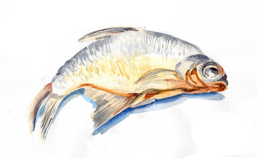 Сушеная рыба акварелью