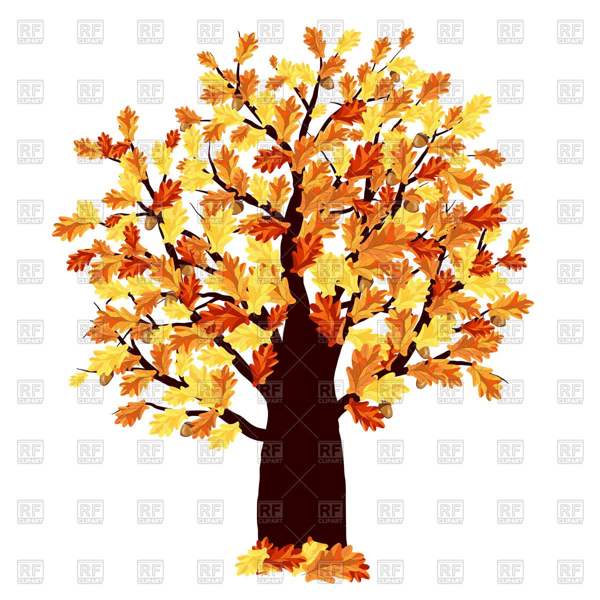 Иллюстрации осенних деревьев для детей дуб