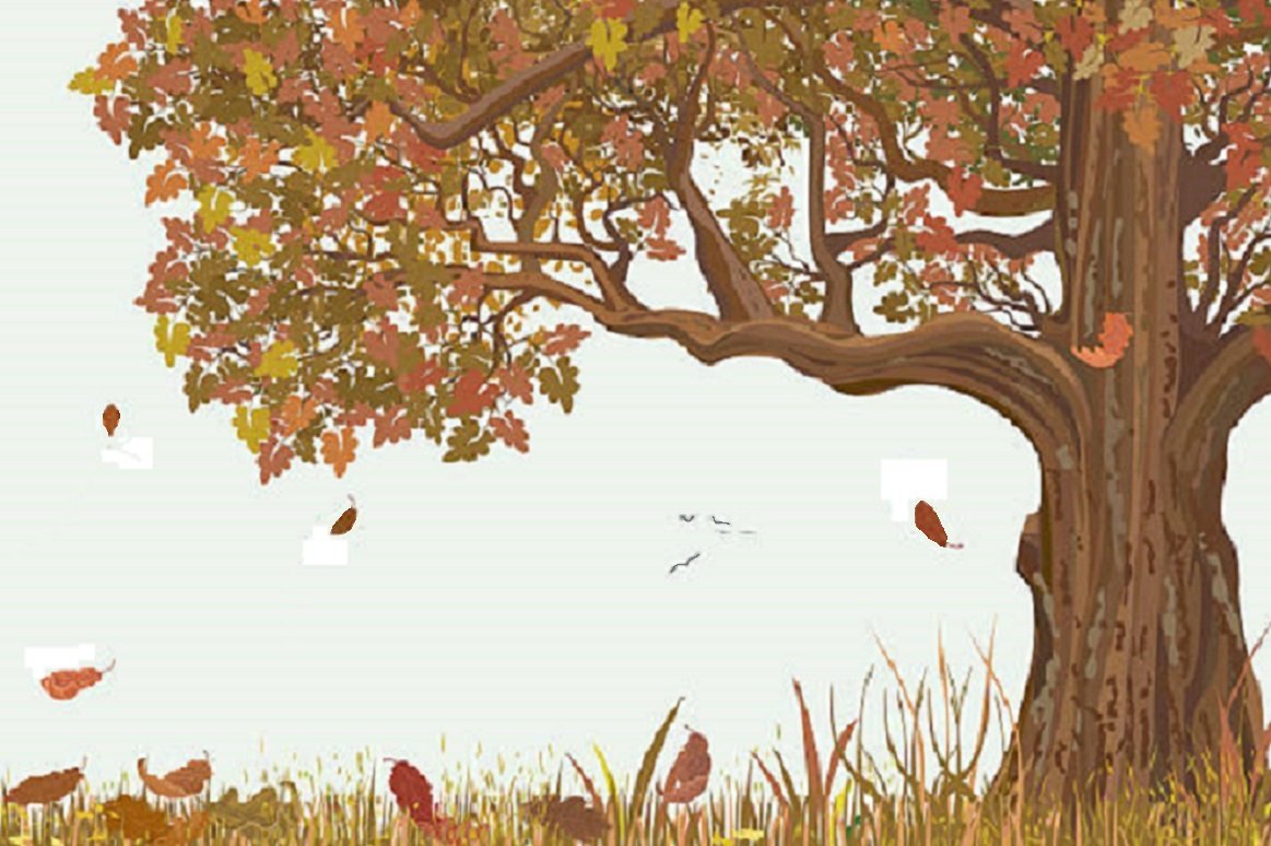 Осенний дуб рисунок