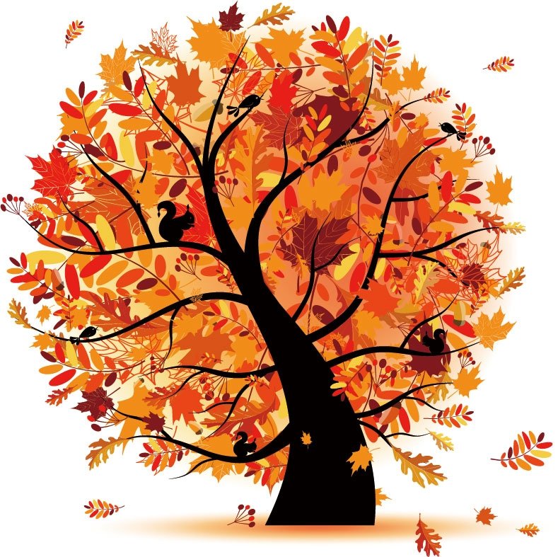 Тетрадь деревья осень