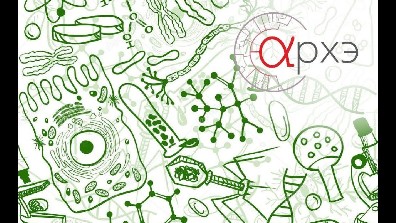 Биологический рисунок (31 фото) скачать бесплатно