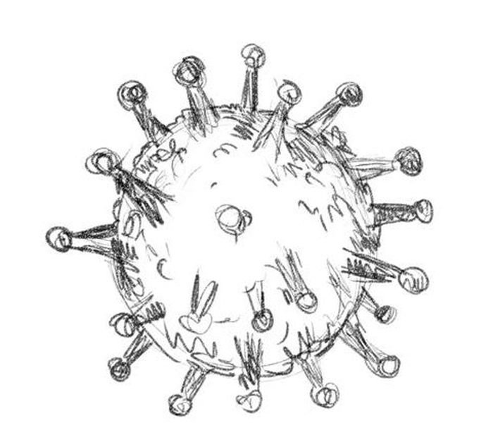 Вирус чертежи коронавирус