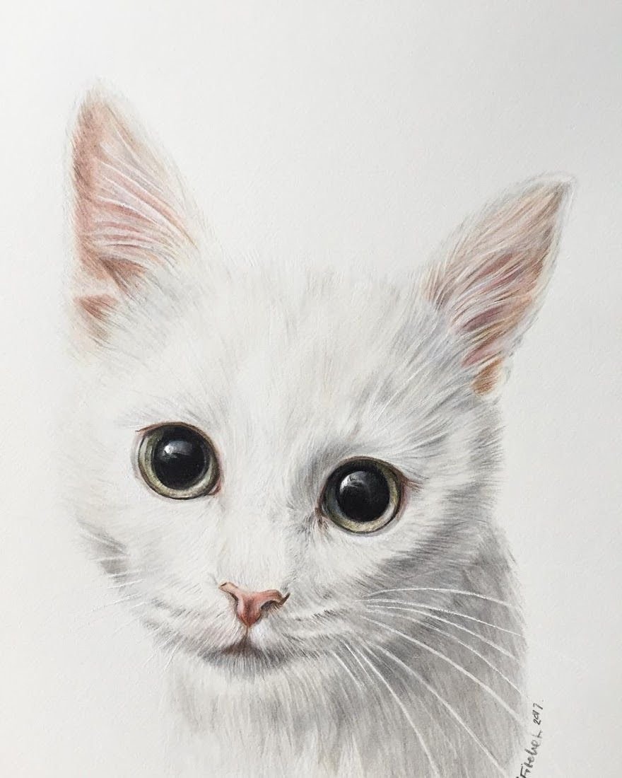 Белая кошка нарисованная