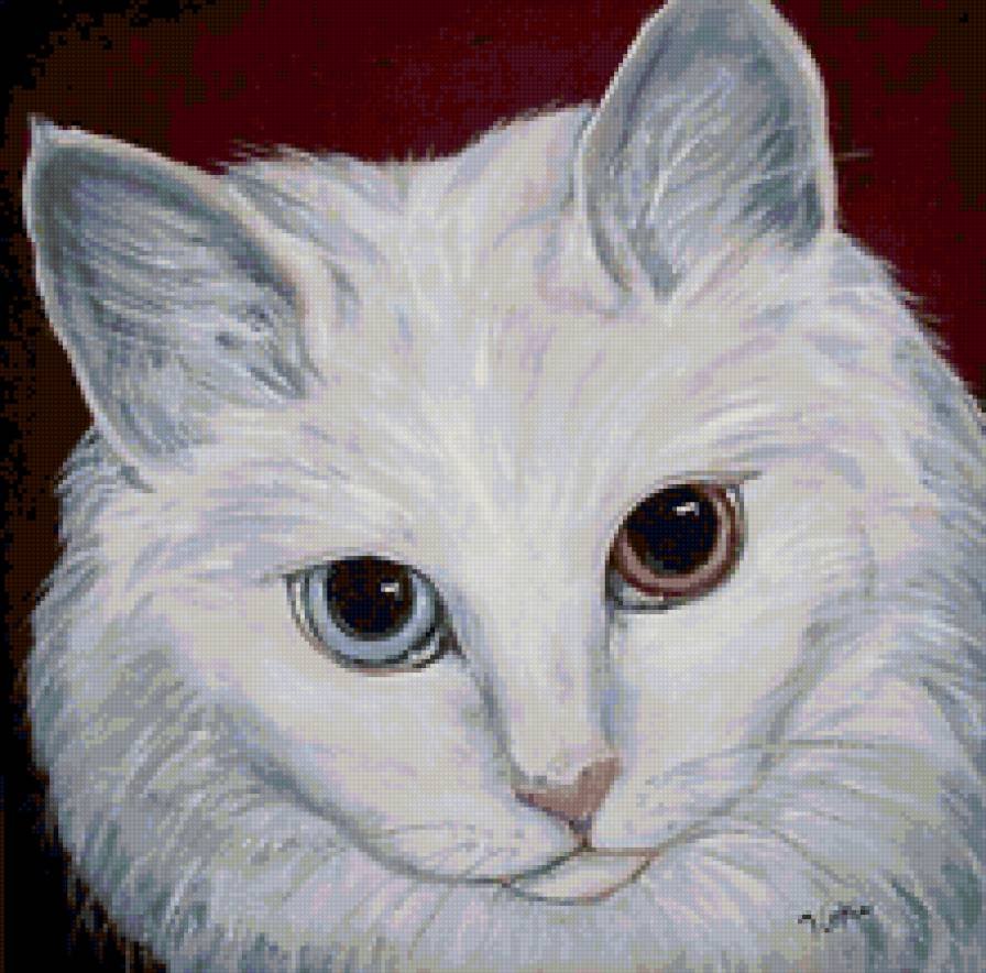 Кот арт с разными глазами
