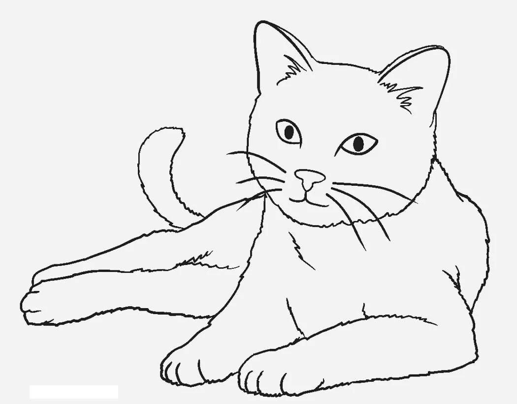 Картинка кошка раскраска