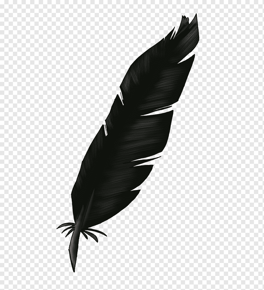 Перо ворона