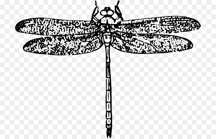 Крылья стрекозы рисунок (43 фото) скачать