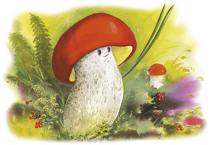 Падасиновик сказочный гриб