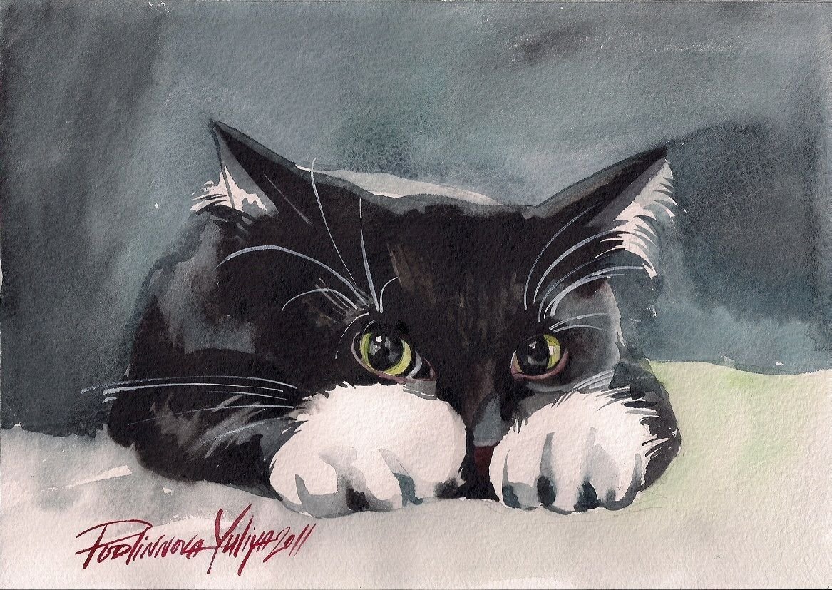 Черно-белый котенок живопись