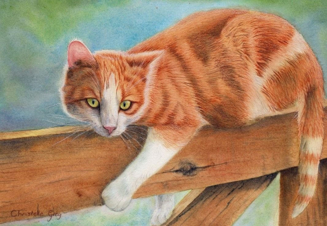 Кошка рисунок гуашью