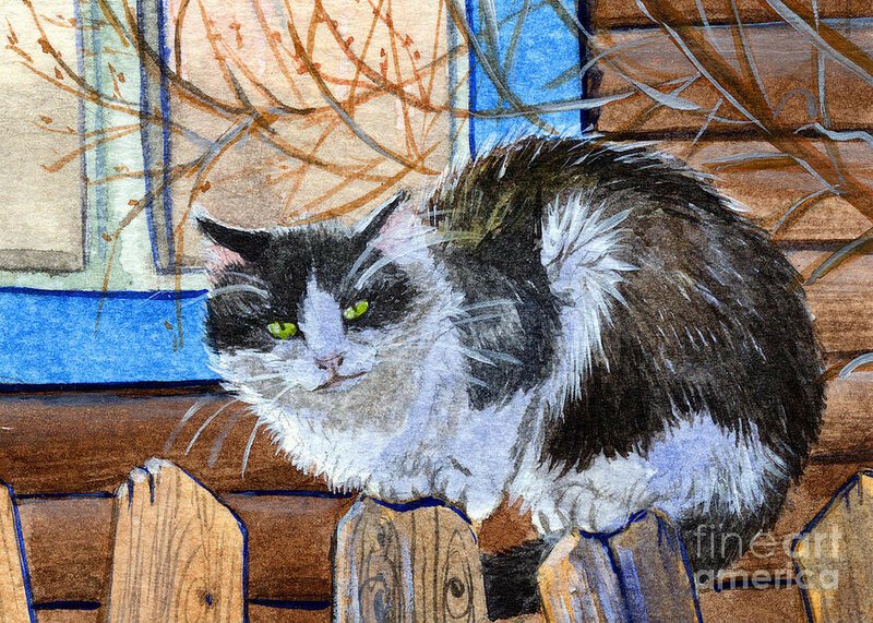 Кошка на заборе живопись
