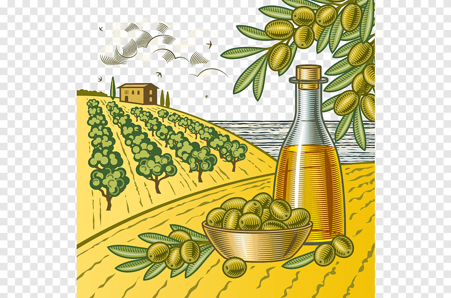 Оливковое масло иллюстрация
