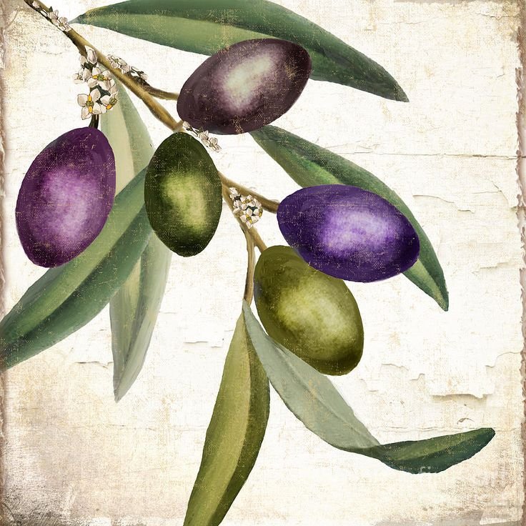 Оливковая ветвь живопись