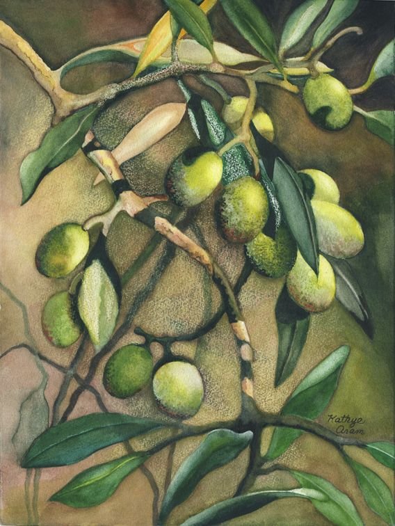 Оливковое дерево живопись