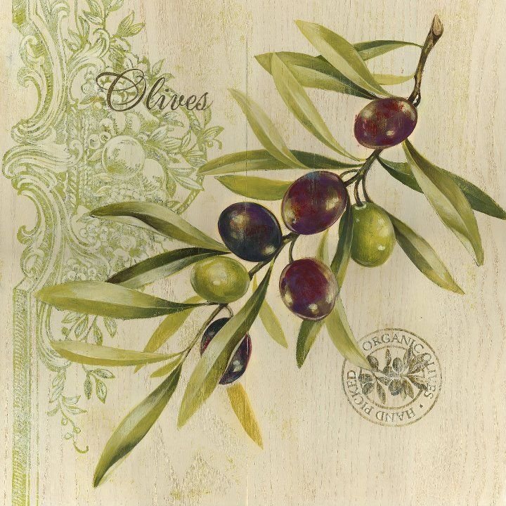Оливки Ботаническая живопись