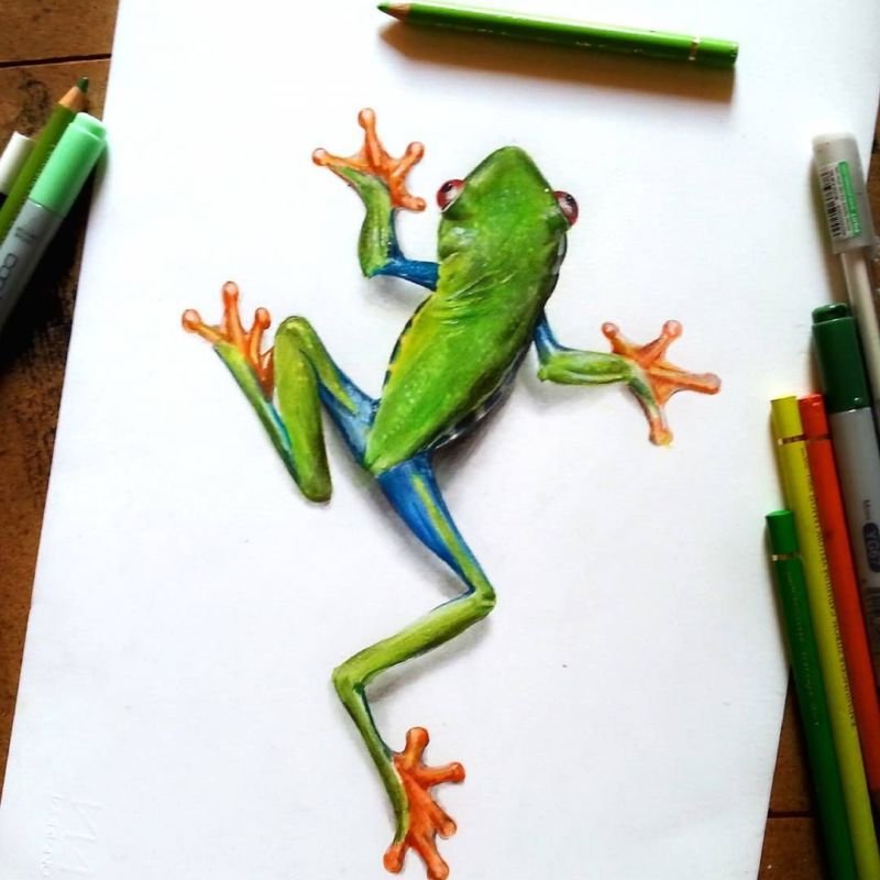Лягушка цветными карандашами