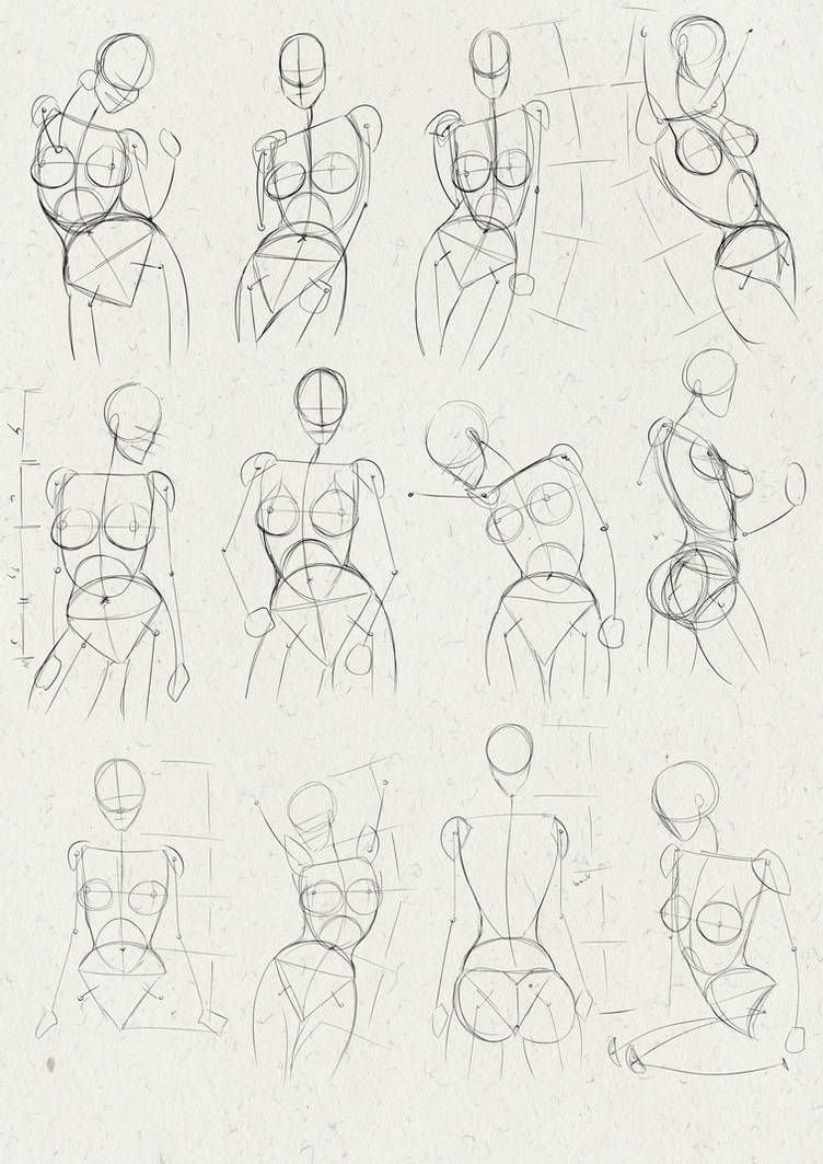Анатомия груди для рисования