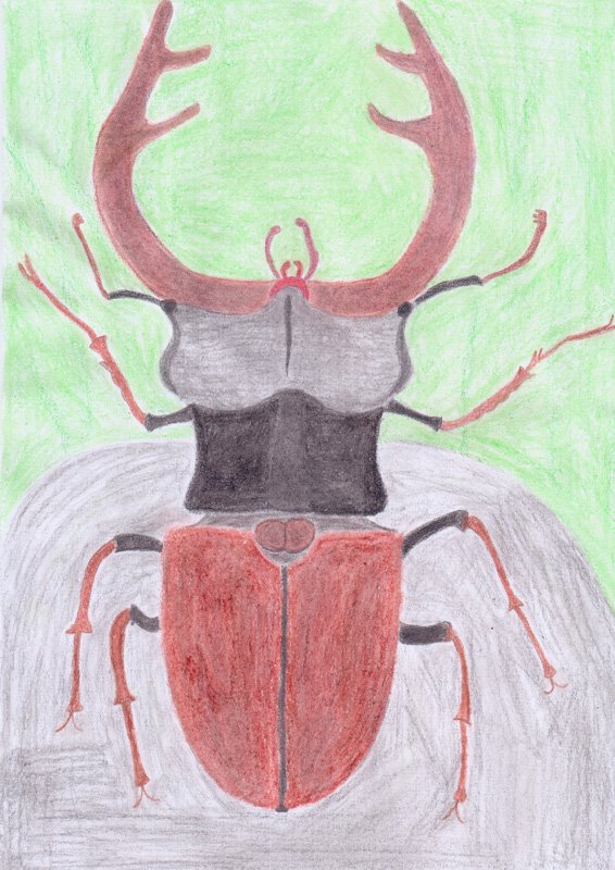 Нарисовать рога жука