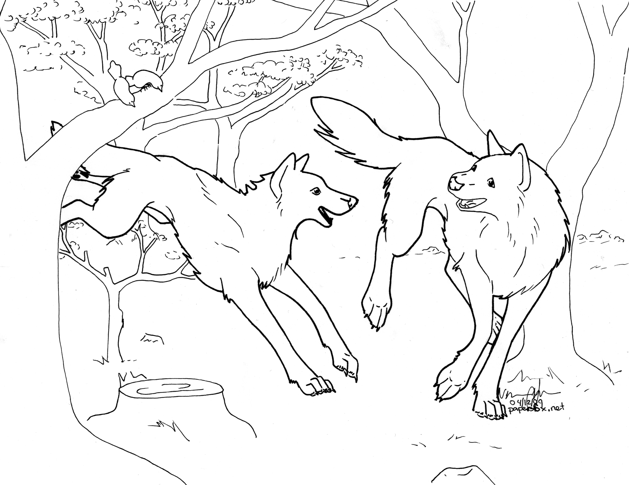 Раскраска волк в лесу