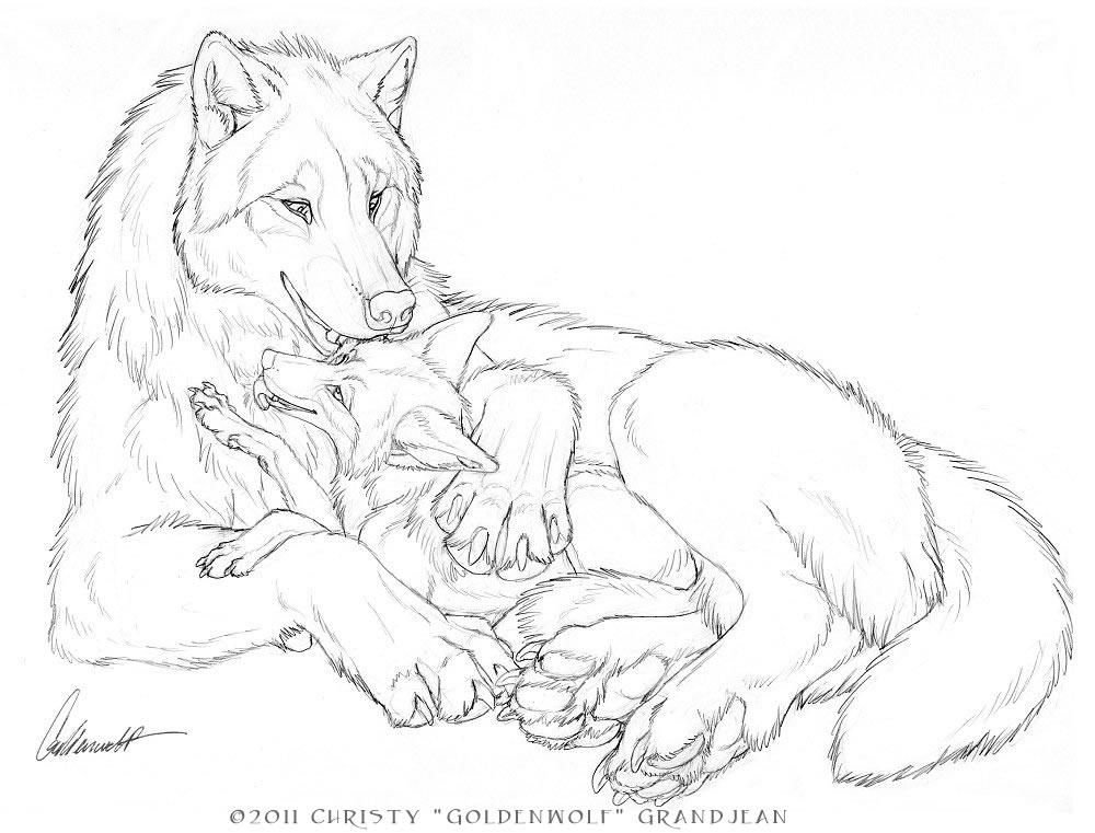 Волк лежит рисунок карандашом