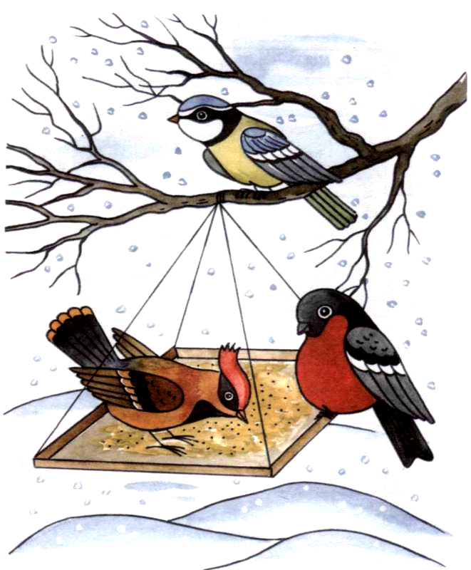 Зимующие птицы на кормушке