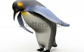 пингвин кланяется