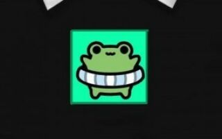 t-shirt roblox лягушка