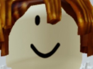 Bacon Hair And Acorn Hair Ship Roblox 