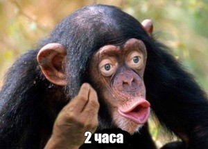 шимпанзе мем