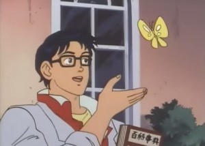мем с бабочкой аниме